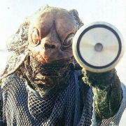 The Sea Devils